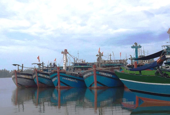 TT-Huế: Cấm tàu thuyền ra biển, khu vực đồng bằng cảnh báo lũ lớn Hơn 2.000 tàu thuyền tại TT-Huế nhận lệnh cấm ra khơi đánh bắt cá kể từ chiều 29/10 để phòng tránh mưa bão, thiên tai