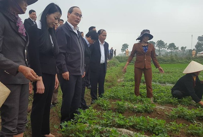 Không liên kết thì 12 triệu hộ nông dân vẫn mãi yếu thế Ông Nguyễn Thiện Nhân và lãnh đạo tỉnh Vĩnh Phúc khảo sát tại HTX Nhân Lý. (Ảnh LD)