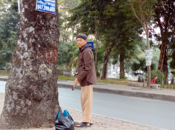 Công an điều tra vụ lột vỏ xà cừ ở Hà Nội Người đàn ông tay búa, tay dao đục khoét thân cây xà cừ trên đường Láng. Ảnh: Minh Đức