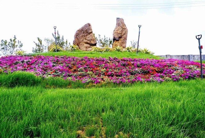 Rực rỡ lễ hội hoa xuân Bái Đính những ngày đầu năm Hàng trăm loại hoa được trồng tại thung lũng hoa Bái Đính. Ảnh: Minh Đức