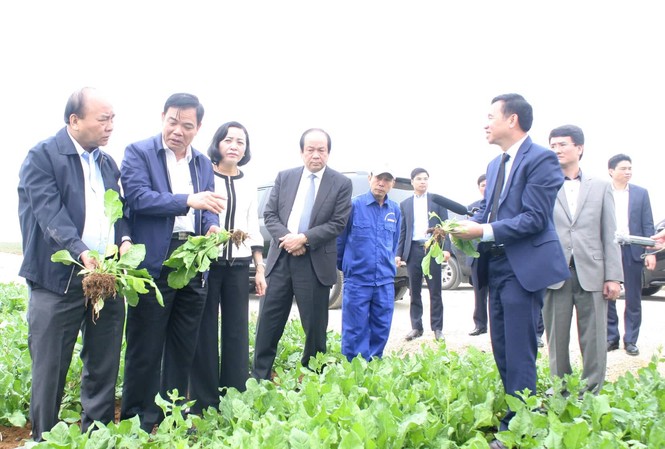 Thủ tướng Nguyễn Xuân Phúc kiểm tra công tác sản xuất tại Ninh Bình Thủ tướng Nguyễn Xuân Phúc cùng đoàn công tác tại Ninh Bình. Ảnh: N.T