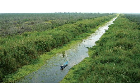 U Minh Thượng trở thành khu Ramsar thế giới Vườn quốc gia U Minh Thượng (Ảnh: SGGP)