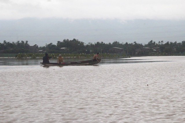 Người đàn ông bị điện giật tử vong khi đưa heo đi chạy lũ Nước lũ dâng cao tại huyện Đại Lộc.