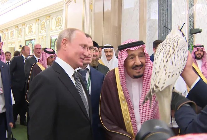 Thăm Ả Rập Saudi, ông Putin tặng Vua Salman chim ưng Kamchatka cực hiếm Tổng thống Putin giới thiệu với Nhà vua Salman về chim ưng Kamchatka. Ảnh: Tass