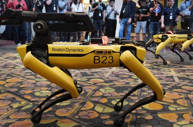 Mỹ thả chó robot vào nơi làm việc Chó máy Spot. Ảnh: Getty.