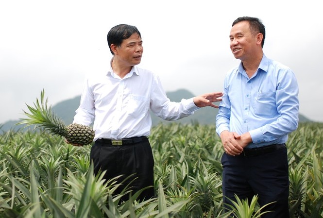 Doanh nghiệp đầu tư vào nông nghiệp như “muối bỏ bể” Bộ trưởng NN&PTNT Nguyễn Xuân Cường thăm vùng nguyên liệu của Công ty CP Thực phẩm và xuất khẩu Đồng Giao