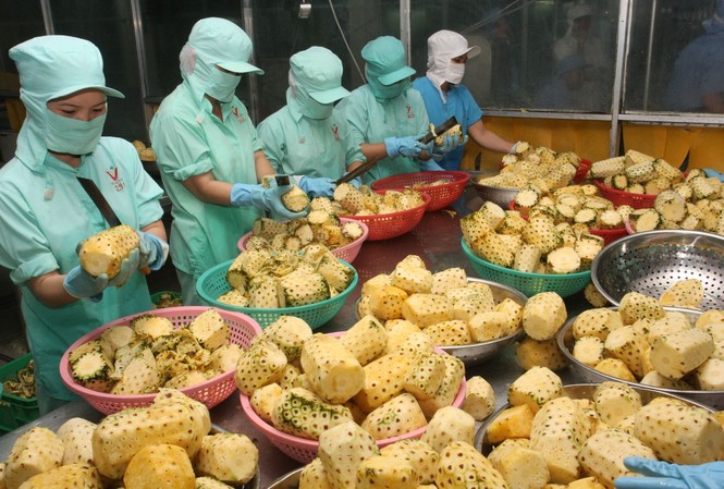 Xuất khẩu nông lâm thuỷ sản đạt 13,7 tỷ USD trong 5 tháng đầu năm Xuất khẩu rau quả tiếp tục tăng trưởng ấn tượng trong 5 tháng đầu năm 2017
