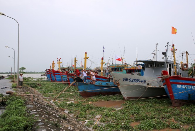 Bão số 2 vào Thanh Hóa-Hà Tĩnh, có thể kèm lốc xoáy Ban chỉ đạo Trung ương về Phòng chống thiên tai yêu cầu các địa phương phải hoàn tất các phương án phòng chống bão số 2 trước 17 giờ, ngày 16/7