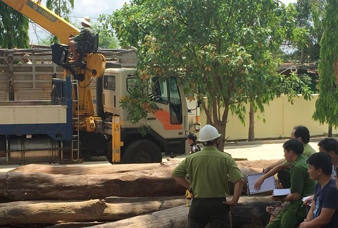 Lãnh đạo Cục Kiểm lâm nói gì về trùm gỗ Phượng 'râu' bị bắt? Lực lượng chức năng kiểm tra khu vực chứa gỗ của trùm Phượng "râu"