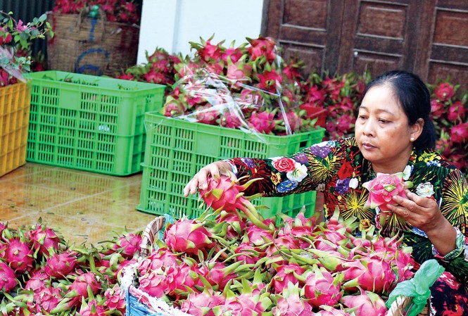 Dù được kỳ vọng, nhưng xuất khẩu mặt hàng trái cây năm 2019 có kim ngạch tụt giảm