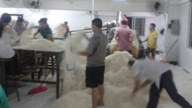 Kinh hãi cảnh sản xuất mỳ sợi ở Trung Quốc Công nhân dẫm đạp lên mỳ trong nhà máy Tongcheng.