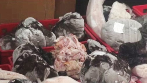 Kinh hoàng thịt đông lạnh 35 năm chuẩn bị đem bán Số thịt đông lạnh từ thập niên 80 bị lực lượng chức năng Romania bắt giữ