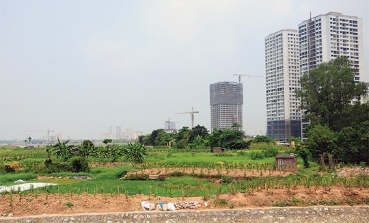 Hà Nội công bố danh sách các đơn vị nợ thuế, phí, tiền thuê đất năm 2016 Gần 200 doanh nghiệp chưa hoàn thành nghĩa vụ nộp tiền thuê đất, tiền sử dụng đất - Ảnh: Minh họa.