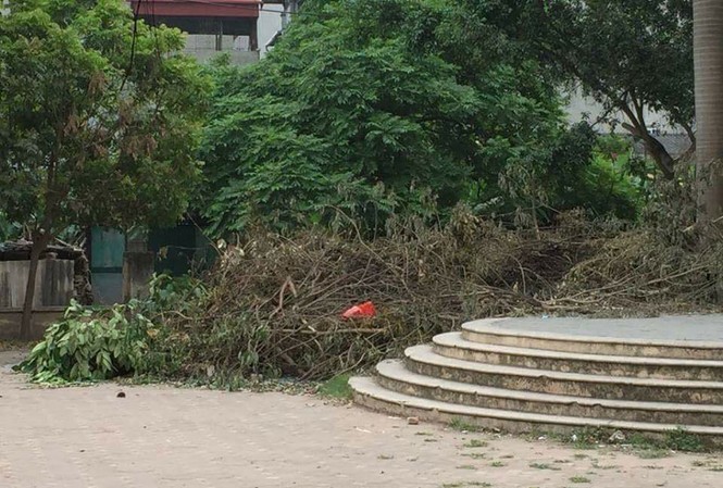 Sân chơi thành... điểm tập kết rác Một góc sân chơi tại tổ dân phố Độc Lập, phường Vạn Phúc (quận Hà Đông) biến thành nơi chứa rác.