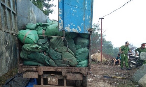 Bắt quả tang đoàn xe chở hàng chục tấn rác đi đổ trộm Bắt quả tang đoàn xe chở hàng chục tấn rác đi đổ trộm
