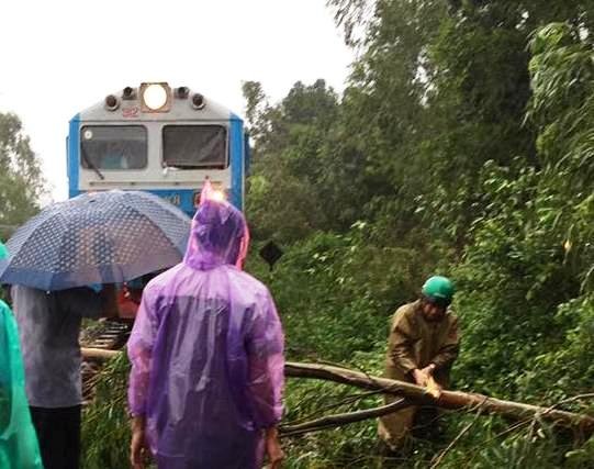 Thiết bị cảnh báo và cần chắn tự động đường sắt tê liệt sau bão Cây đổ chắn ngang đường sắt trong bão số 12