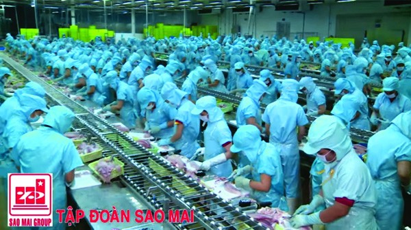 Năm 2016, doanh thu của IDI cán mốc hơn 4.000 tỷ đồng Quy trình chế biến cá tra xuất khẩu của Công ty Cổ phần Đầu tư và Phát triển đa quốc gia (IDI)