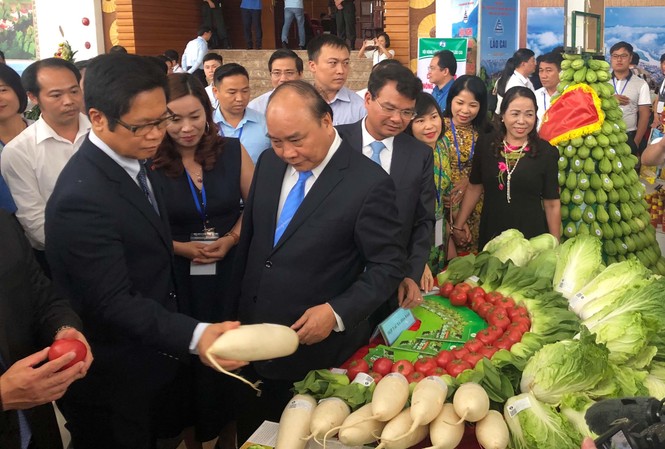 Thủ tướng: Đánh mất tiềm năng du lịch là Lào Cai mất tất cả Thủ tướng Chính phủ Nguyễn Xuân Phúc thăm gian hàng nông nghiệp của tỉnh Lào Cai.