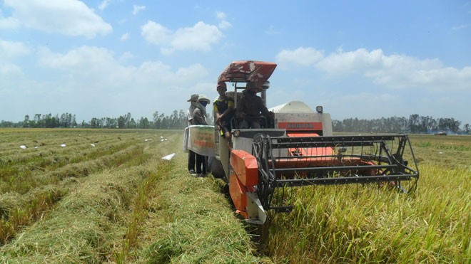 Nỗi niềm chủ máy gặt đập liên hợp Chiếc máy GĐLH của anh Nguyễn Văn Hảo trên đồng