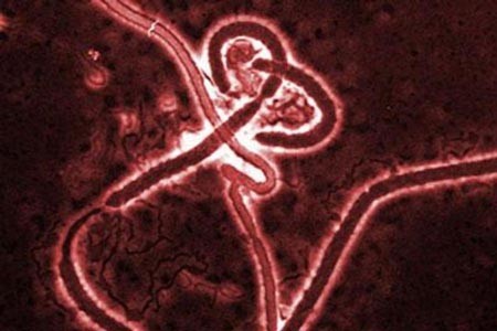 Mỹ thừa nhận Ebola có thể lây lan trong không khí Mỹ thừa nhận Ebola có thể lây lan trong không khí