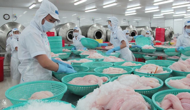 45 cơ sở chế biến được xuất khẩu cá tra, basa sang Mỹ Các doanh nghiệp xuất khẩu cá tra, ba sa sang Mỹ, phải đáp ứng các yêu cầu nghiêm ngặt về chất lượng, an toàn thực phẩm. Ảnh. Phạm Anh.