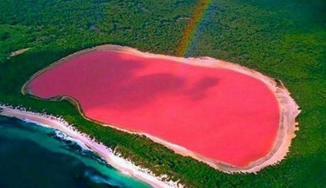 Bí ẩn hồ nước màu hồng sữa ở Australia Hồ Hillier ở Australia có màu hồng sữa. Ảnh: Weirdfacts.
