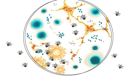 Cỗ máy siêu nhỏ đoạt giải Nobel hóa học có thể tìm diệt tế bào ung thư Hình minh họa những cỗ máy siêu nhỏ tiêu diệt các tế bào ung thư. Ảnh: Student Newspaper.