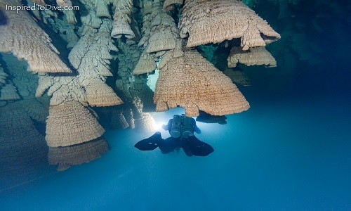 'Chuông địa ngục' trong hang sâu 30 m ở Mexico Một thợ lặn khám phá những chiếc "chuông đá". Ảnh: Inspired to Dive.