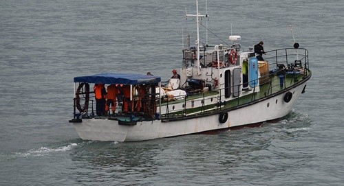 Nghi vấn máy bay quân sự Nga rơi do chim kẹt trong động cơ Chiếc tàu tham gia nhiệm vụ tìm kiếm thi thể các nạn nhân. Ảnh: Sputnik.