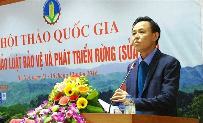 Phát triển hiện đại, toàn diện ngành Lâm nghiệp Thứ trưởng Bộ NN&PTNT cho rừng, Luật BV&PTR sửa đổi đã đổi mới căn bản luật hiện nay, nên đề xuất lấy tên là “Luật Lâm nghiệp”.