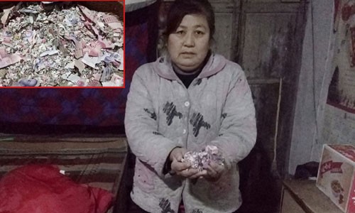 Giấu tiền trong thùng, người phụ nữ nhận lại đống 'giấy vụn' Số tiền tiết kiệm của bà đã bị chuột cắn nát hết.Ảnh: Oneplusnews.