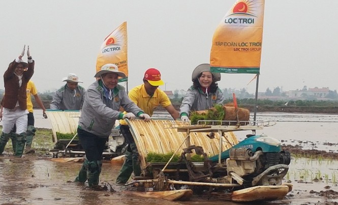 Xuống đồng cùng 'Hạt ngọc trời' Lãnh đạo tỉnh Ninh Bình lội ruộng cùng bà con nông dân.