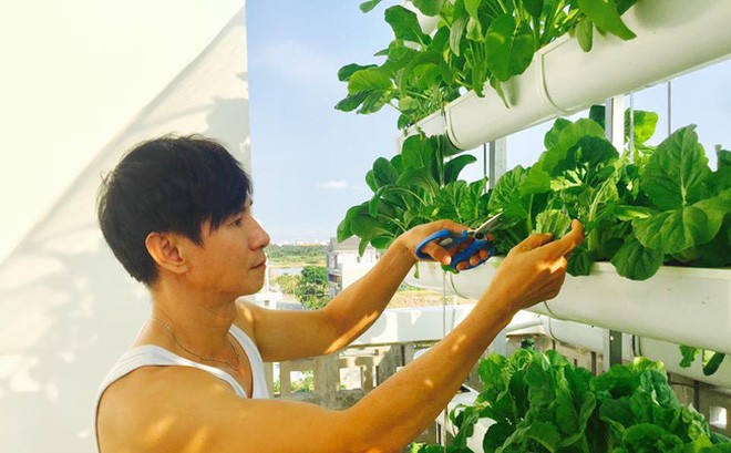 Khu vườn trên sân thượng xanh mướt mát của gia đình Lý Hải - Minh Hà Khu vườn trên sân thượng xanh mướt mát của gia đình Lý Hải - Minh Hà
