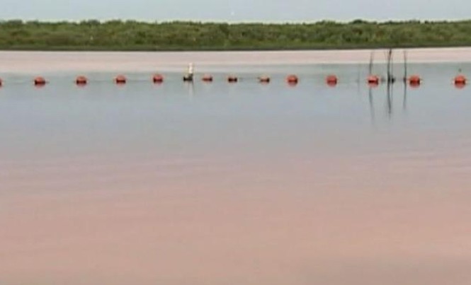 Thần kỳ bé gái 10 tuổi tự giải thoát khỏi hàm cá sấu Hồ Lake Moss nơi xảy ra vụ tấn công kinh hoàng hôm thứ Bảy. Ảnh: News.au.com.