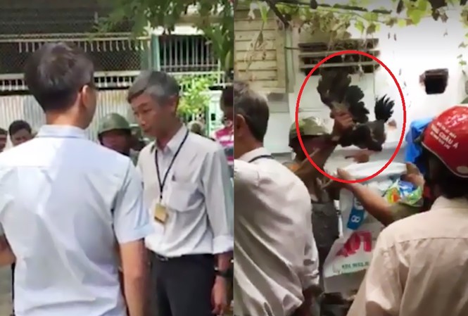 Vụ 'bẻ khóa' bắt gà Đông Tảo tiêu hủy: Chủ nhà dọa kiện ra tòa Đoàn kiểm tra của phường 15 xuống bắt gà. Ảnh cắt từ clip.