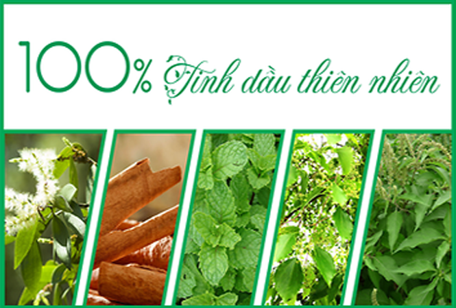 Bước đột phá dòng sản phẩm cao xoa chứa 100% tinh dầu thiên nhiên Bước đột phá dòng sản phẩm cao xoa chứa 100% tinh dầu thiên nhiên