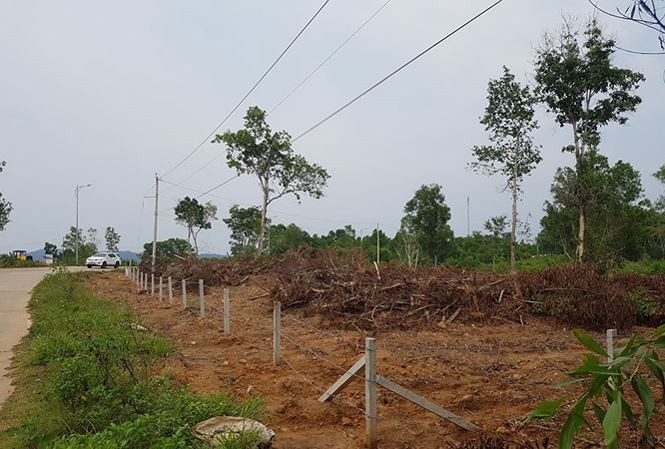 Không để tình trạng 'cò đất', 'xã hội đen' mua bán đất lộng hành Phó Thủ tướng yêu cầu không để tình trạng “cò đất”, “xã hội đen” mua bán đất lộng hành ở các khu vực lập đặc khu.