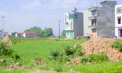 Thái Nguyên chuyển đổi gần 16ha đất lúa làm dự án Thủ tướng đồng ý cho UBND tỉnh Thái Nguyên chuyển đổi 15,7 ha đất trồng lúa để làm dự án. Ảnh minh họa.