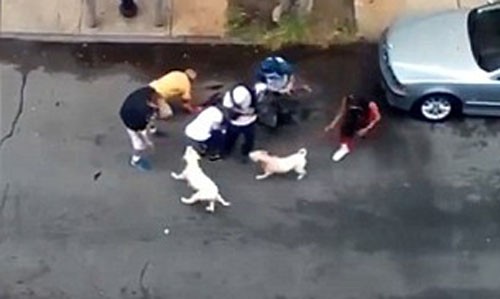 Thả chó pitbull cắn đứt tai người đàn ông trên phố Người dân giải cứu hai người đàn ông khỏi những con chó dữ.