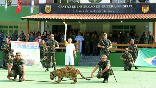 Báo đốm trong lễ rước đuốc Olympic Brazil bị bắn chết Juma bị bắn chết trong lễ rước đuốc Olympic