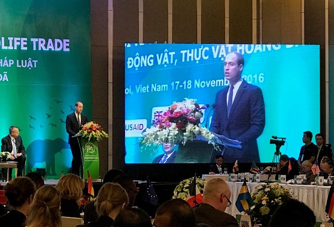 Xóa bỏ thị trường phi pháp động thực vật hoang dã Hoàng tử Vương Quốc Anh William đề nghị các quốc gia có biện pháp mạnh mẽ nhằm ngăn chặn các hoạt động trái pháp luật bảo vệ các loài hoang dã.