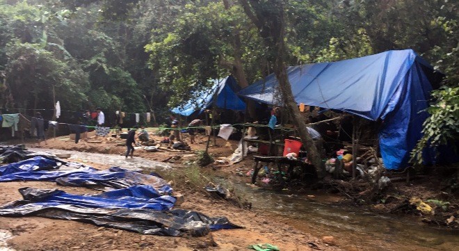 Bí mật truy quét, đẩy đuổi hơn trăm người khỏi mỏ vàng Các đối tượng khai thác vàng trái phép dựng lán trại trong khu vực mỏ vàng Bồng Miêu. Ảnh CA