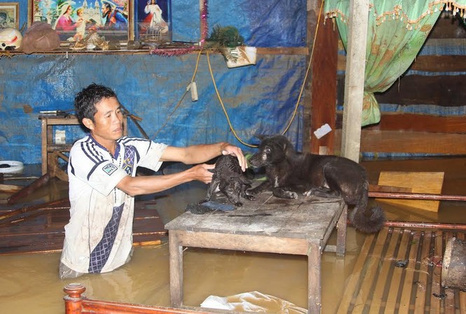 Hình ảnh mới nhất từ tâm lũ Hương Khê Hình ảnh mới nhất từ tâm lũ Hương Khê