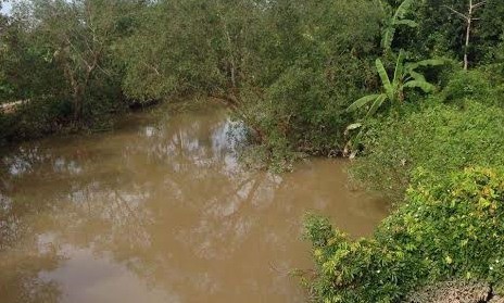 Phát hiện thi thể người đàn ông dưới nhánh sông Nhánh sông nơi phát hiện thi thể nạn nhân Nguyễn Hoài Hận.