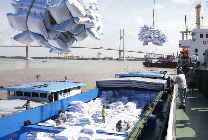 Xuất khẩu nông lâm thủy sản “mở hàng” giảm 1,4% Gạo là một trong những mặt hàng nông sản xuất khẩu sụt giảm trong tháng 1/2017