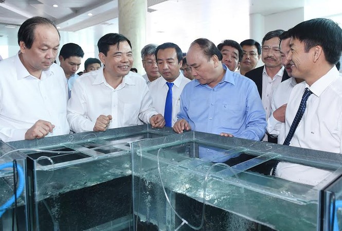 Thủ tướng: Việt Nam phấn đấu thành công xưởng sản xuất tôm của thế giới Thủ tướng thăm khu vực trưng bày tôm giống tại một cơ sở sản xuất.