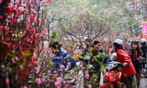 Bản tin 8H: Lịch nghỉ Tết Nguyên đán Kỷ Hợi 2019 Ảnh minh họa.