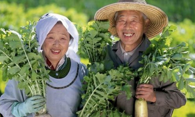 Bí quyết giúp người Nhật sống thọ trăm tuổi Bí quyết giúp người Nhật sống thọ trăm tuổi