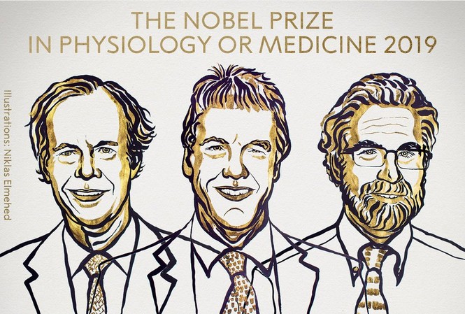 Xướng tên 3 nhà khoa học giành giải Nobel Y học Phác họa chân dung 3 nhà khoa học đạt giải Nobel Y học 2019