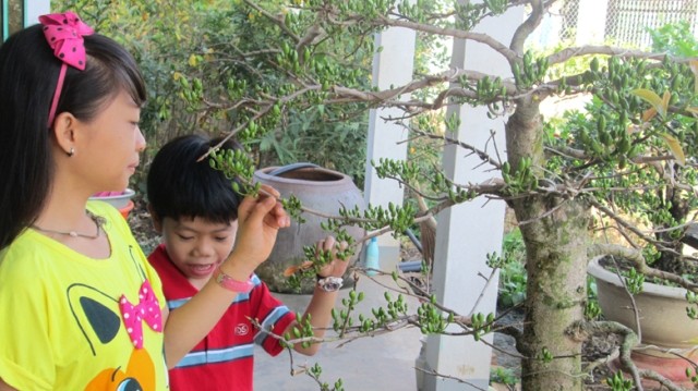 Dự thi ảnh: Bà Rịa - Vũng Tàu vào xuân Dự thi ảnh: Bà Rịa - Vũng Tàu vào xuân